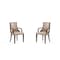 Manhattan Comfort Grand Faux Leather and Velvet Dining Armchair in Tan with Beech Wood Frame - Set of 2 2-DC048AR-TN - alternate 1
